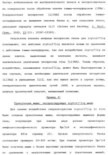 Новый лиганд рецептора цитокина zcytor17 (патент 2360923)