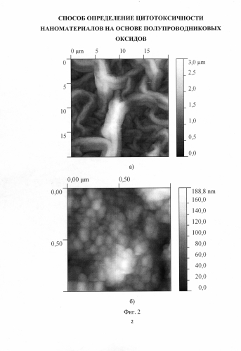 Способ определения цитотоксичности наноматериалов на основе оксида цинка (патент 2587630)