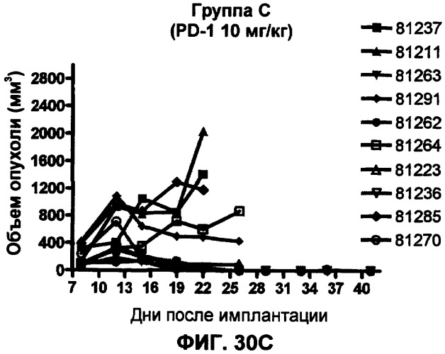 Моноклональные антитела человека к белку программируемой смерти 1 (pd-1) и способы лечения рака с использованием анти-pd-1-антител самостоятельно или в комбинации с другими иммунотерапевтическими средствами (патент 2406760)