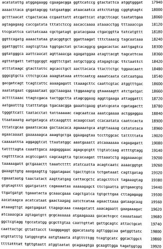 Бактериофаг, обладающий активностью против pseudomonas aeruginosa, белки бактериофага и способы их применения (патент 2580248)
