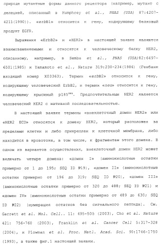 Продление времени до прогрессирования заболевания или продолжительности жизни у онкологических больных с применением ингибиторов димеризации her (патент 2404806)