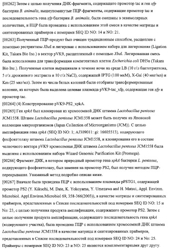 Использование фосфокетолазы для продукции полезных метаболитов (патент 2322496)