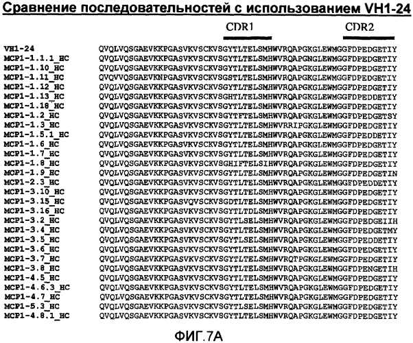 Антитела против моноцитарного хемоаттрактантного белка-1 (мср-1) и их применение (патент 2339647)