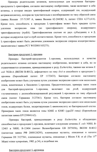 Способ конструирования оперонов, содержащих трансляционно сопряженные гены (патент 2411292)