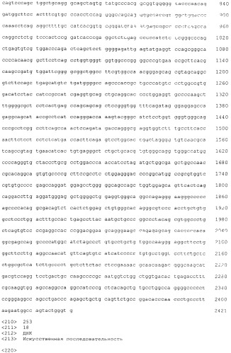 Pscaxcd3, cd19xcd3, c-metxcd3, эндосиалинxcd3, epcamxcd3, igf-1rxcd3 или fap-альфаxcd3 биспецифическое одноцепочечное антитело с межвидовой специфичностью (патент 2547600)