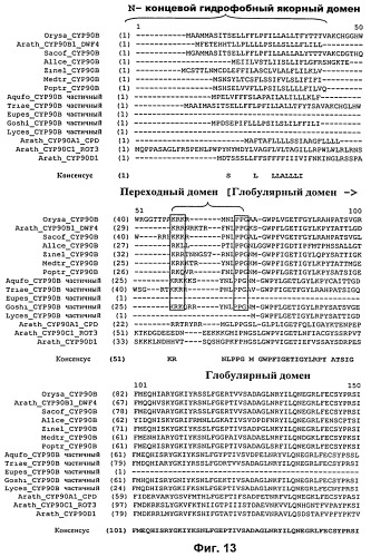Растения, имеющие улучшенные характеристики роста, и способы их получения (патент 2463352)