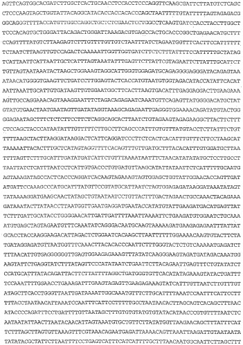 Применение s1p (патент 2362565)