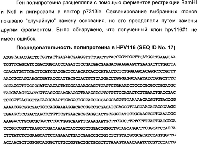 Полинуклеотидная последовательность, кодирующая полипептид вируса папилломы человека, ее применение, а также содержащие ее вектор и фармацевтическая композиция (патент 2354701)