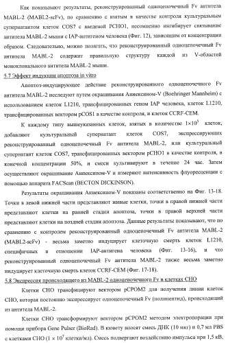 Днк, кодирующая модифицированное антитело или соединение с активностью агониста тро, способ их получения и животная клетка или микроорганизм, их продуцирующие (патент 2422528)