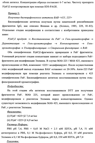 Биспецифические антитела к erb-b и их применение для лечения опухолей (патент 2349340)