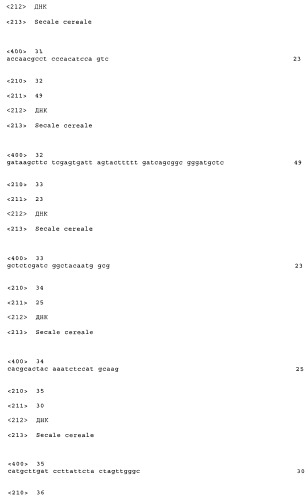 Последовательность днк и рекомбинантное получение основных аллергенов группы 4 из злаковых (патент 2373283)