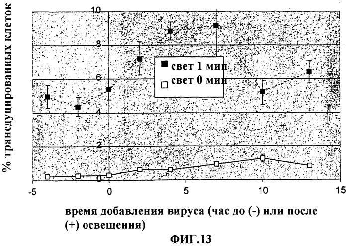 Фотохимическая интернализация для опосредованной вирусом доставки молекулы в цитозоль (патент 2317827)