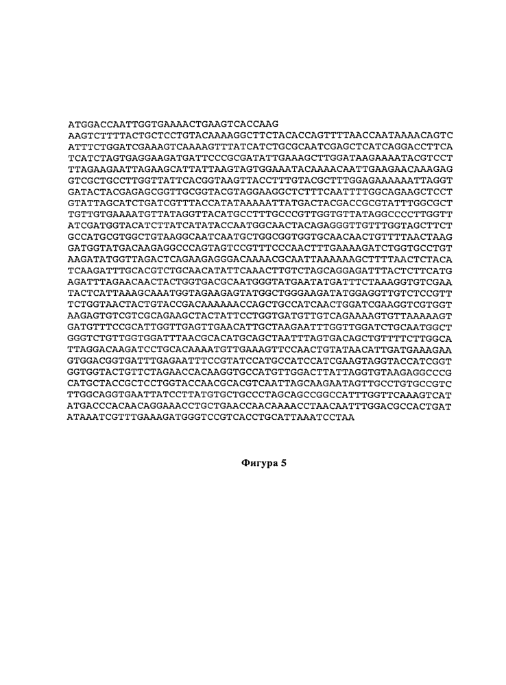 Генно-модифицированные организмы для получения липидов (патент 2617963)