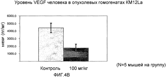 Модуляция воспалительных и метастатических процессов (патент 2377988)