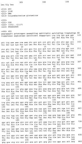Гены corynebacterium glutamicum, кодирующие белки, участвующие в синтезе мембран и мембранном транспорте (патент 2312145)