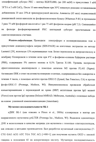 Сфингозинкиназа (варианты), нуклеиновая кислота, ее кодирующая (варианты), и их применение (патент 2326945)
