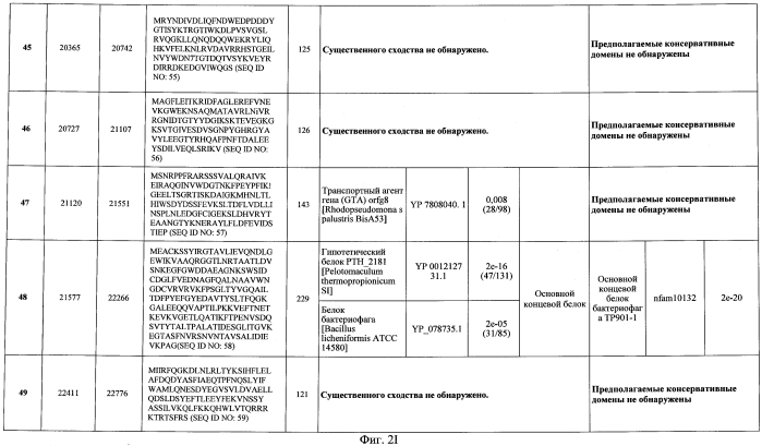 Бактериофаг, обладающий активностью против pseudomonas aeruginosa, белки бактериофага и способы их применения (патент 2580248)