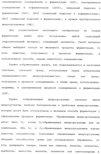 Клетка-хозяин trichoderma reesei для получения целлюлолитической белковой композиции, целлюлолитическая белковая композиция, способы ее получения и применения (патент 2494146)