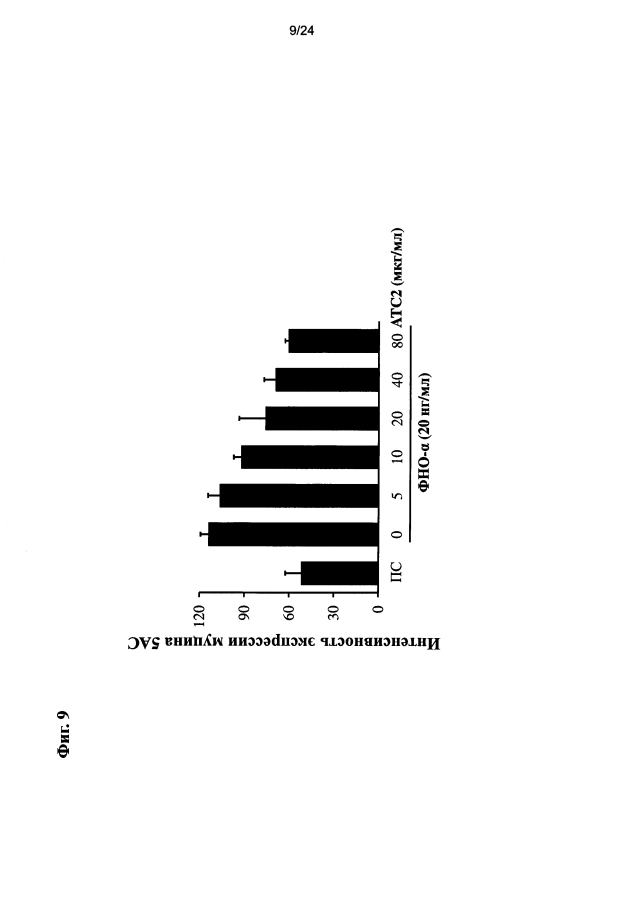 Композиция, содержащая очищенный экстракт, выделенный из pseudolysimachion rotundum var. subintegrum, содержащий большое количество активного компонента, или соединения, выделенные из него, в качестве активного компонента, для профилактики или лечения хронической обструктивной болезни легких (хобл) и ее применение (патент 2594061)