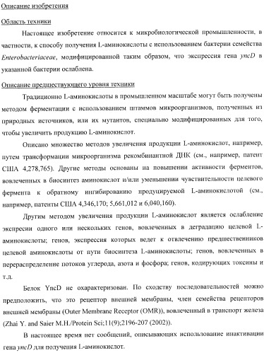 Способ получения l-треонина с использованием бактерии, принадлежащей к роду escherichia, в которой инактивирован ген yncd (патент 2396337)