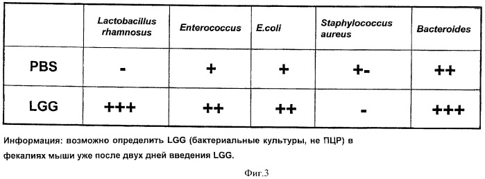 Применение lgg для профилактики или лечения респираторных аллергий (патент 2435598)