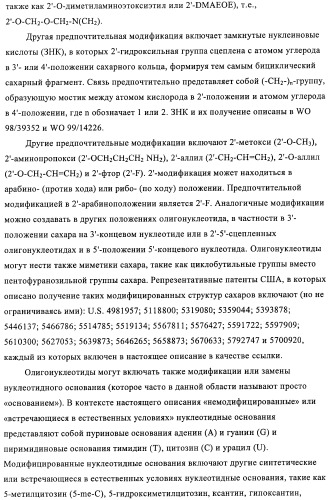 Композиции и способы диагностики и лечения опухоли (патент 2430112)