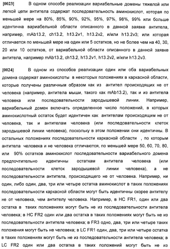 Антитела против интерлейкина-13 человека и их применение (патент 2427589)