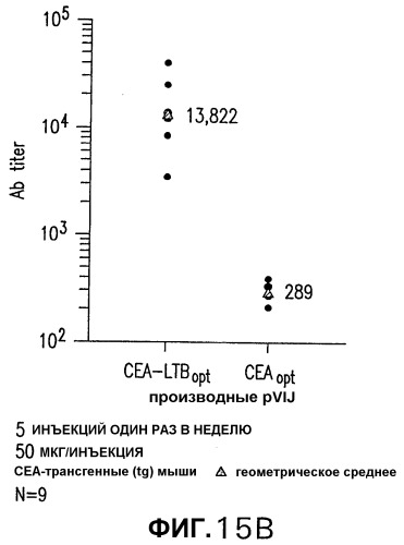 Слитые белки карциноэмбрионального антигена (патент 2380375)