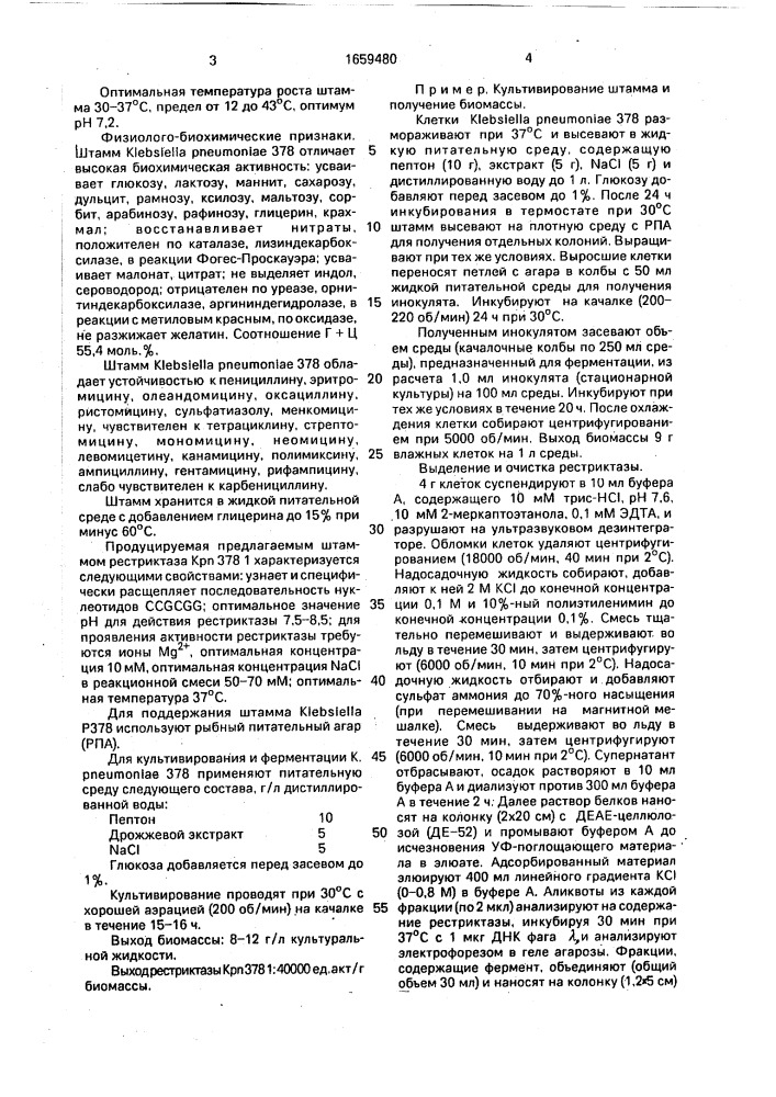 Штамм бактерий кlевsiеllа рnеuмоniае-продуцент рестриктазы кр @ 378 1 (патент 1659480)