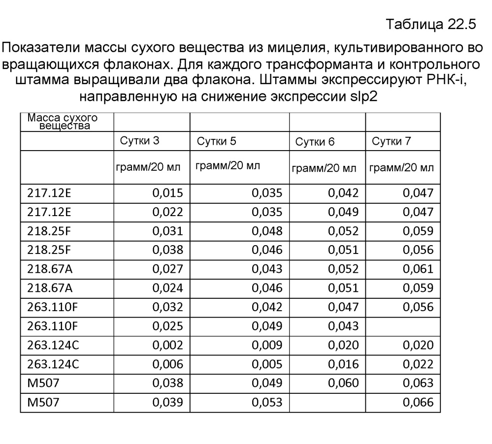 Клетка нитчатых грибов с дефицитом протеаз и способы ее применения (патент 2645252)