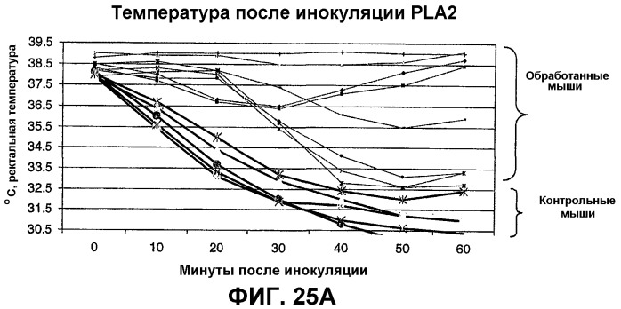 Композиция и способ для иммунизации, способ продуцирования неприродного, упорядоченного и повторяющегося массива антигенов (патент 2294211)