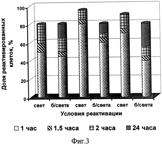 Способ длительного хранения микроводорослей (патент 2541452)