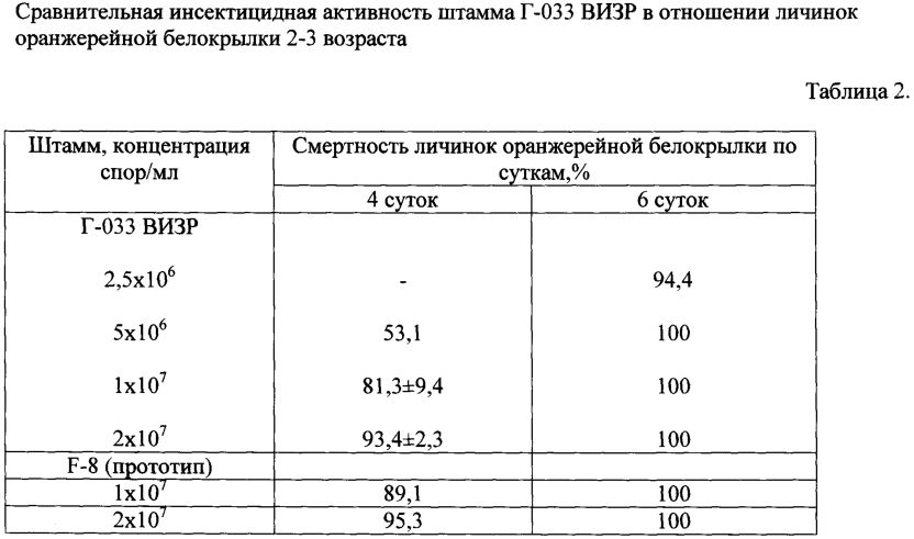 Штамм гриба lecanicillium muscarium, обладающий инсектоакарицидной и антибиотической активностью для борьбы против сосущих вредителей, грибных и бактериальных болезней (патент 2598251)