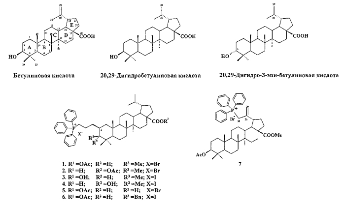 Трифенилфосфониевые соли лупановых тритерпеноидов, способ получения и применение в качестве противоопухолевых веществ (патент 2551647)