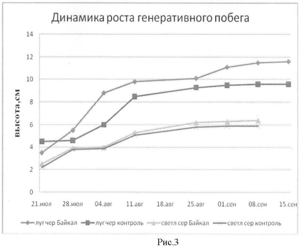 Способ выращивания ex situ высокогорного растения hedysarum theinum krasnob. (патент 2446670)