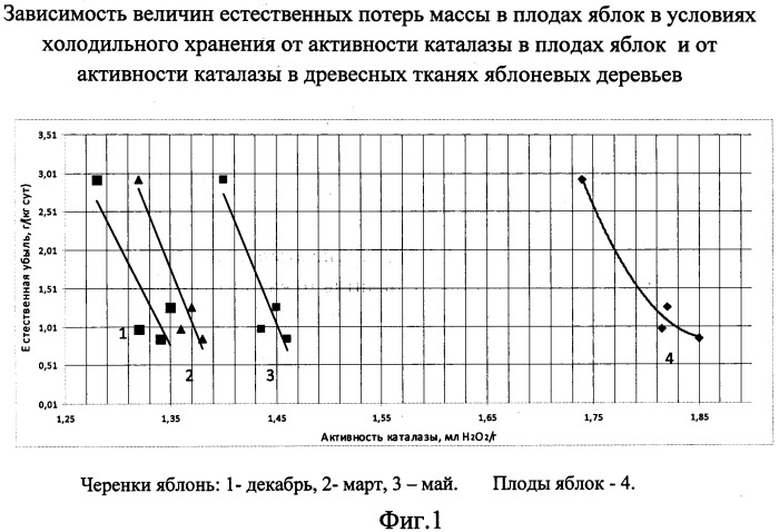 Способ предварительного прогнозирования лежкости плодов и ягод при хранении (патент 2485759)