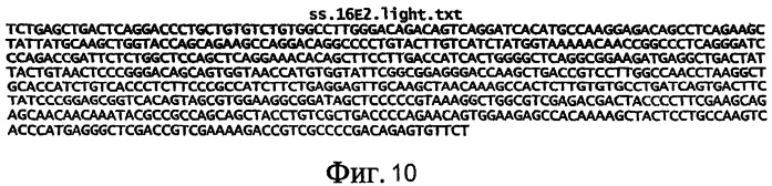 Антитела к dr5 и их применения (патент 2458072)