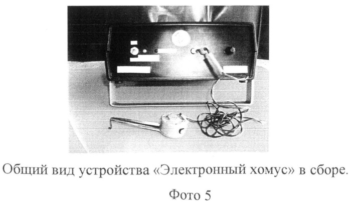 Электронный хомус (патент 2498418)