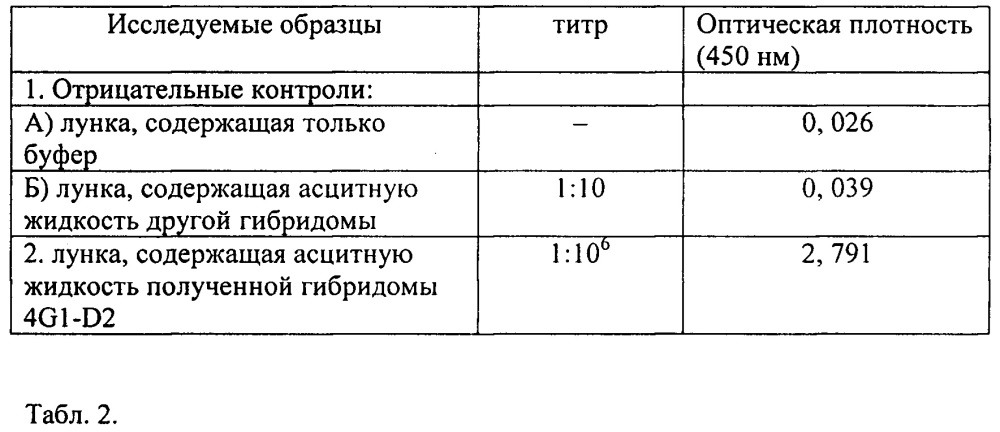 Штамм гибридных культивируемых клеток животных mus musculus α - продуцент моноклональных антител, специфичных к раково-тестикулярному антигену человека gage (патент 2652885)