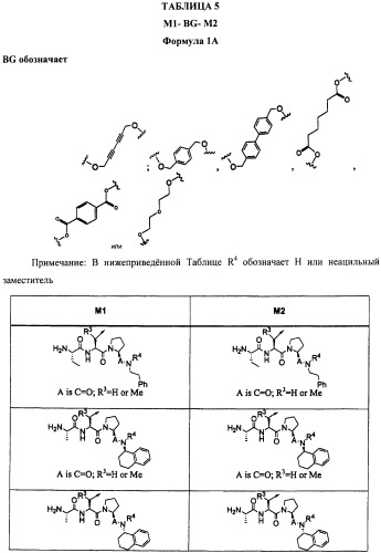 Соединения, связывающие bir домены iap (патент 2418807)