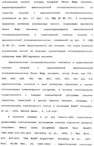 Поликлональное антитело против nogo, фармацевтическая композиция и применение антитела для изготовления лекарственного средства (патент 2432364)