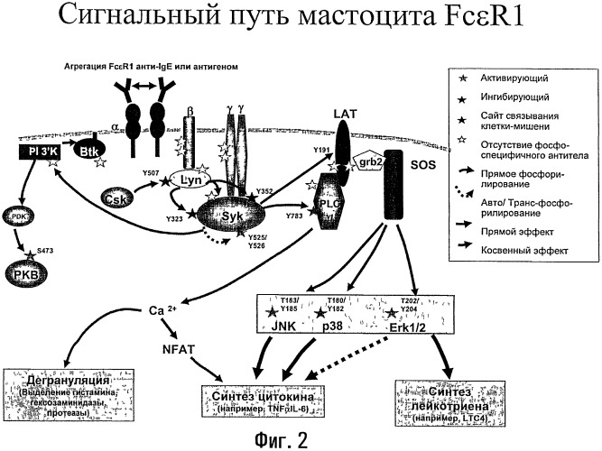 Способы лечения или профилактики аутоиммунных заболеваний с помощью соединений 2,4-пиримидиндиамина (патент 2491071)