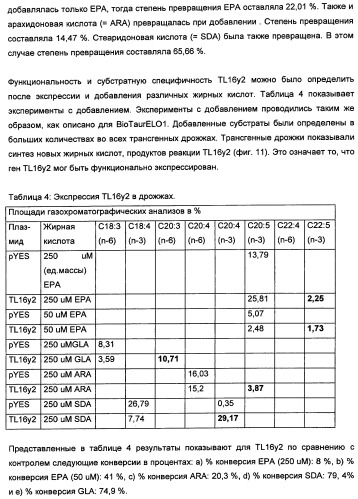 Способ получения полиненасыщенных кислот жирного ряда в трансгенных организмах (патент 2447147)