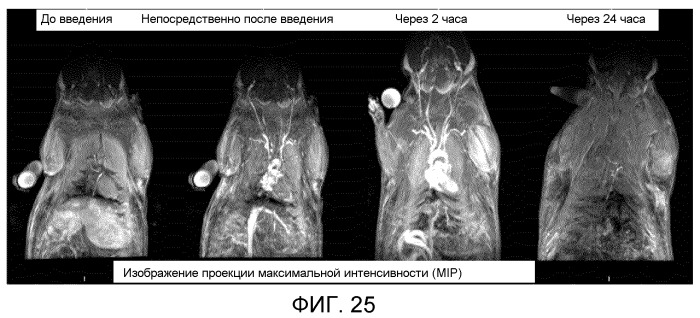 Получение крайне малых и однородных по размеру парамагнитных или псевдопарамагнитных наночастиц на основе оксида железа и, с их использованием, контрастных веществ для т1-режима мрт (патент 2540472)