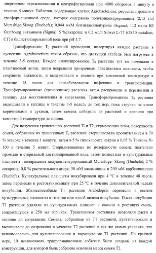 Изолированные полипептиды, кодирующие их полинуклеотиды, экспрессирующие их трансгенные растения и способы их использования (патент 2425151)