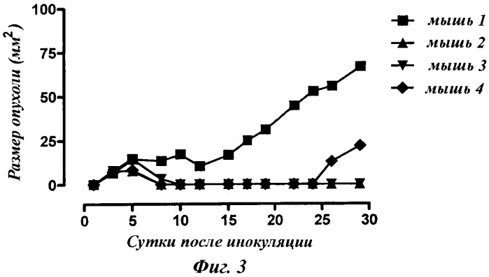 Нонапептид с противоопухолевой активностью (патент 2503685)