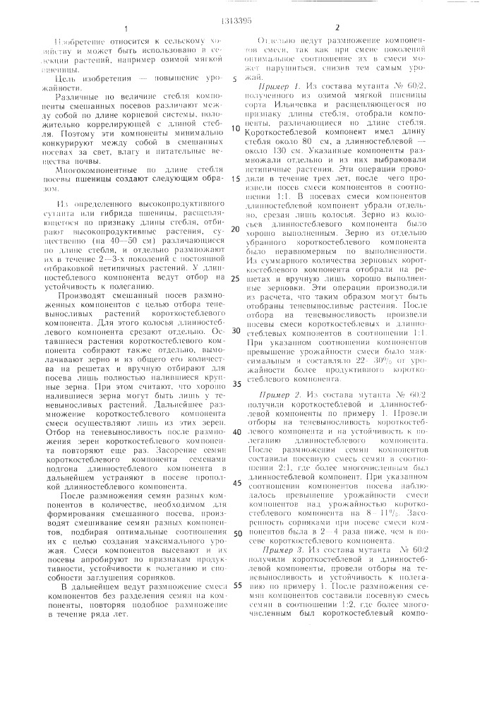 Способ селекции пшеницы (патент 1313395)
