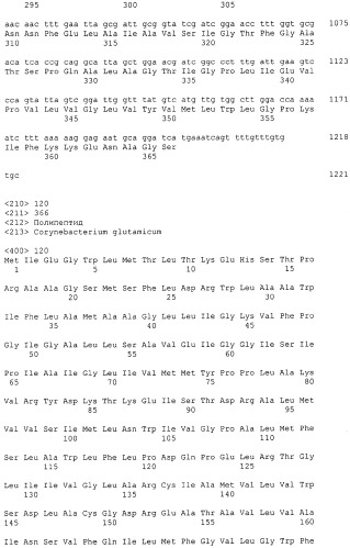 Гены corynebacterium glutamicum, кодирующие белки резистентности и толерантности к стрессам (патент 2303635)