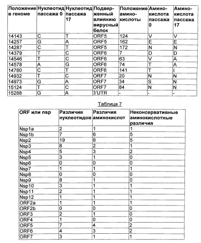 Северо-американский вирус репродуктивно-респираторного синдрома свиней (prrs) и его применения (патент 2592667)