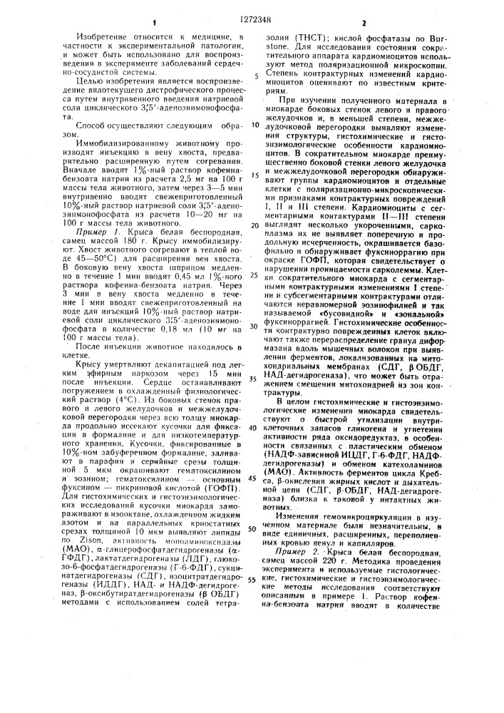 Способ моделирования стрессорных повреждений миокарда (патент 1272348)